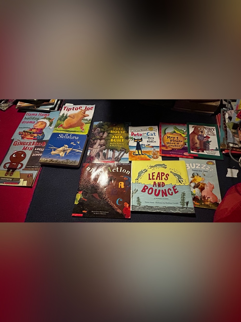 Children's Picture Book Lot #1